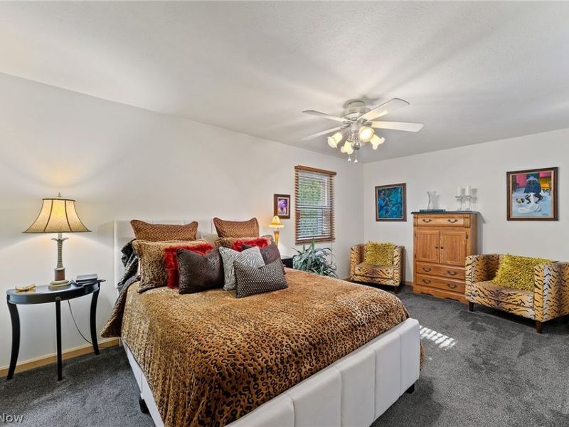 930 Pearson Circle, Boardman, OH 44512 Photo 21