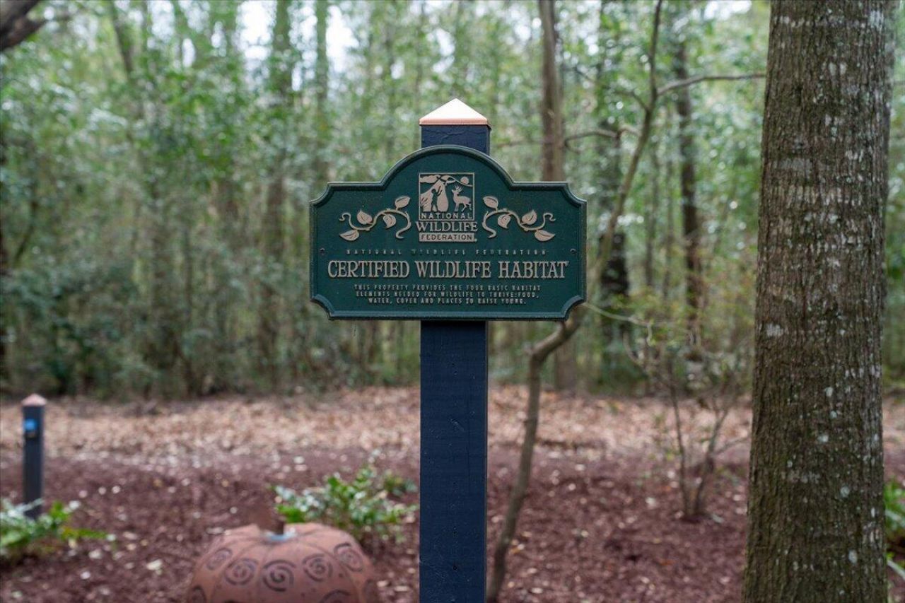 1217 Antigua Drive Photo 59