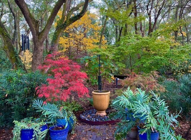 1217 Antigua Drive Photo 78