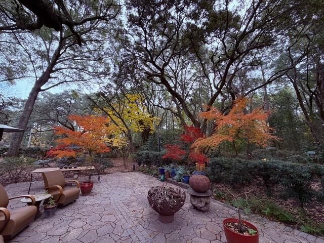 1217 Antigua Drive Photo 79