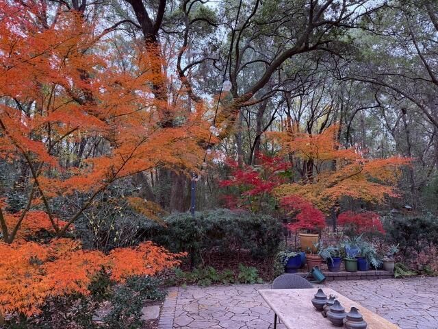 1217 Antigua Drive Photo 80