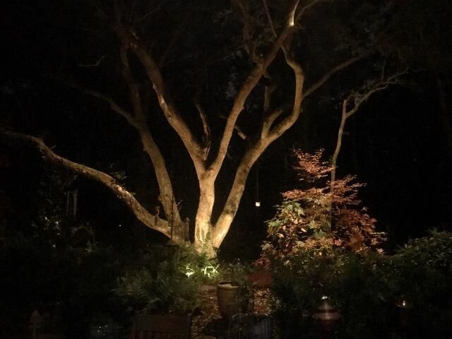 1217 Antigua Drive Photo 81