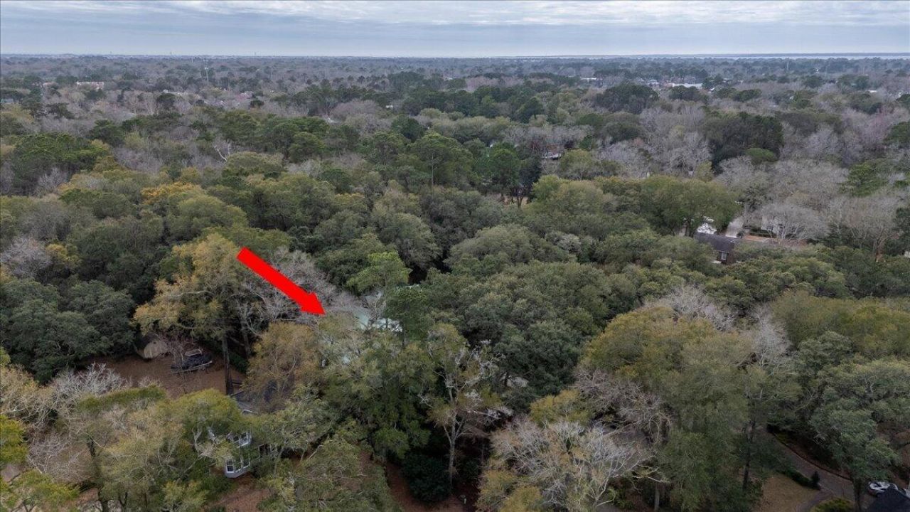 1217 Antigua Drive Photo 87