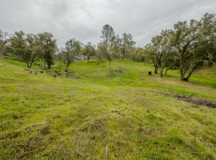4656 Buckboard Ln, Campo Seco, CA 95226 Photo