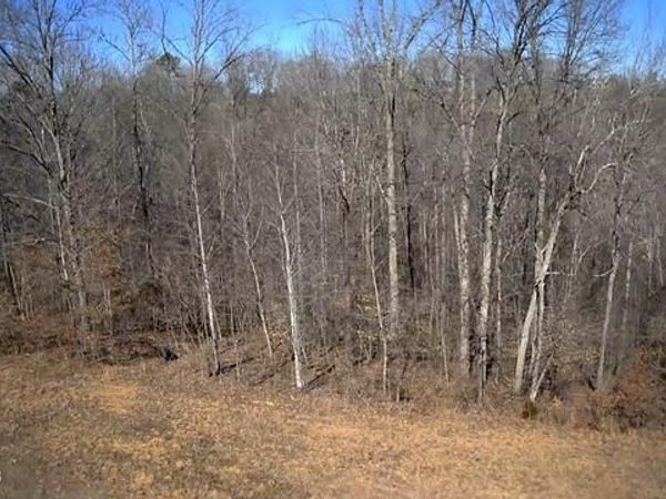 531 Cedar Gate Lane, LaFollette, TN 37766