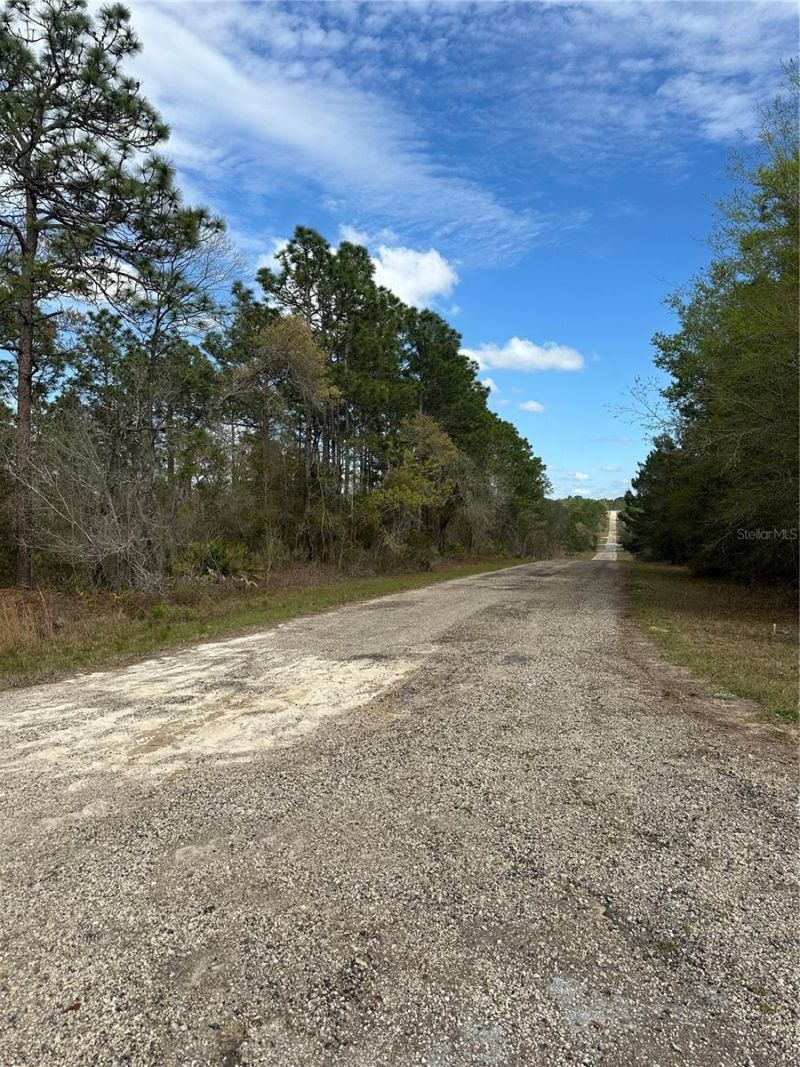 1639 W Pendleton Street , Dunnellon, FL 34434 Photo