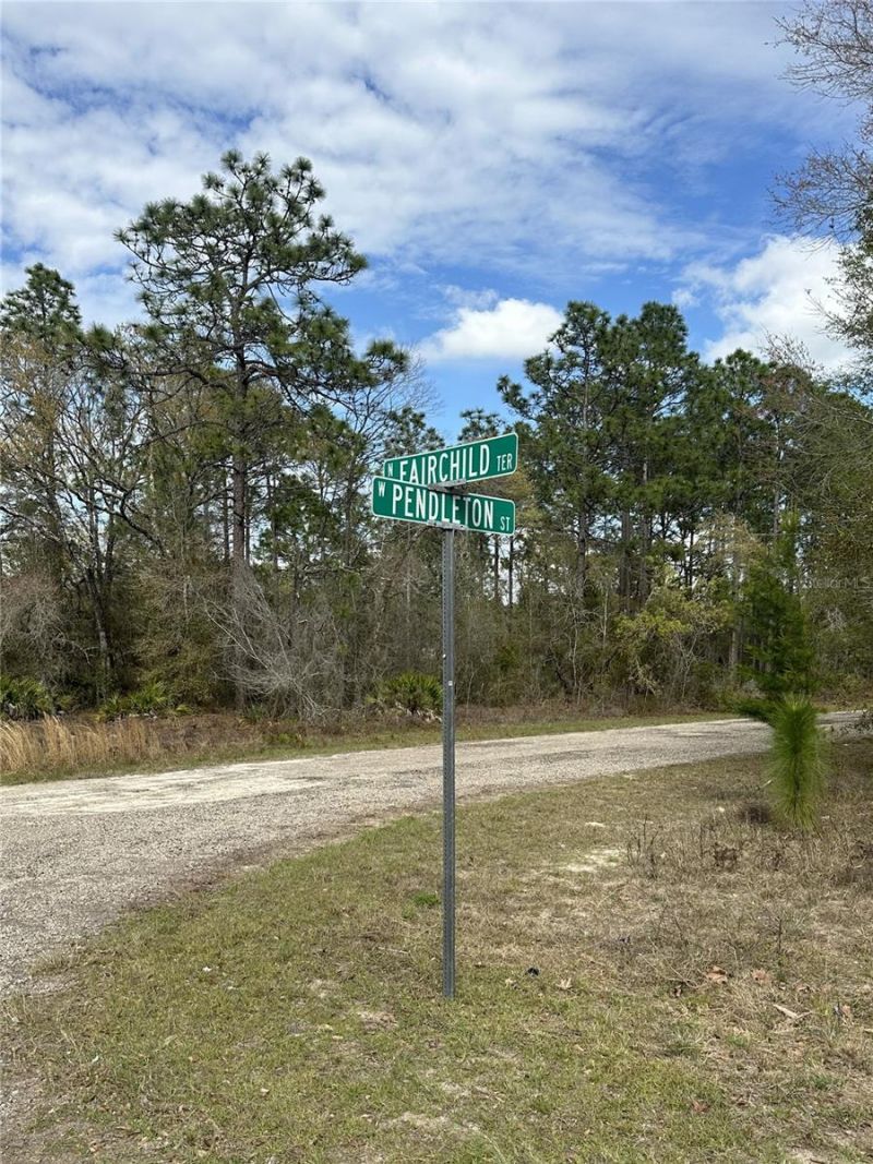 1639 W Pendleton Street , Dunnellon, FL 34434 Photo