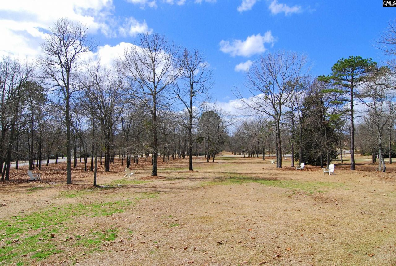 15 Pocosin Court Photo 61