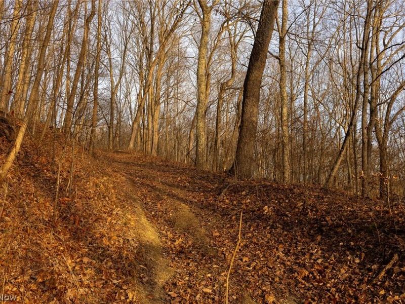 32290 Bailey Run Road, Pomeroy, OH 45769 Photo 10