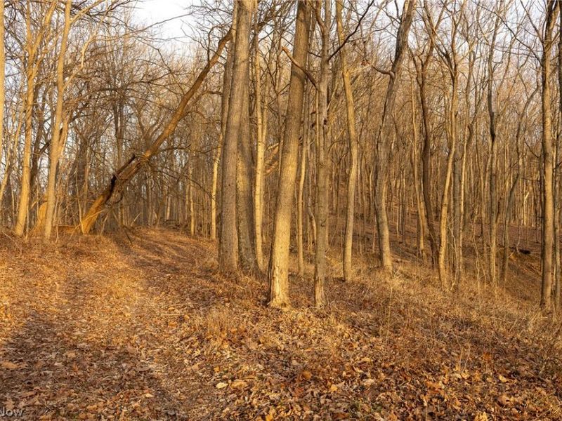 32290 Bailey Run Road, Pomeroy, OH 45769 Photo 11