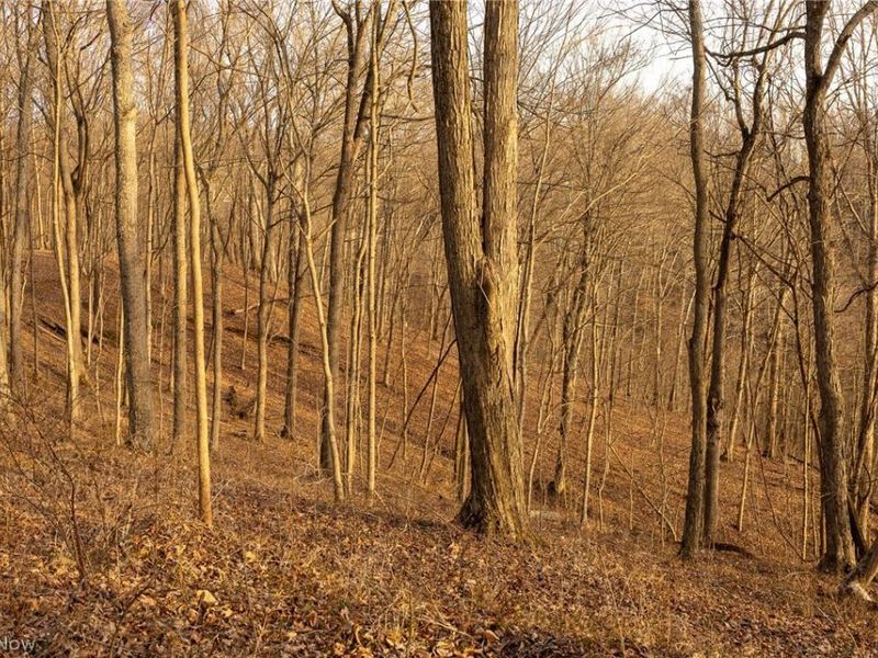 32290 Bailey Run Road, Pomeroy, OH 45769 Photo 12