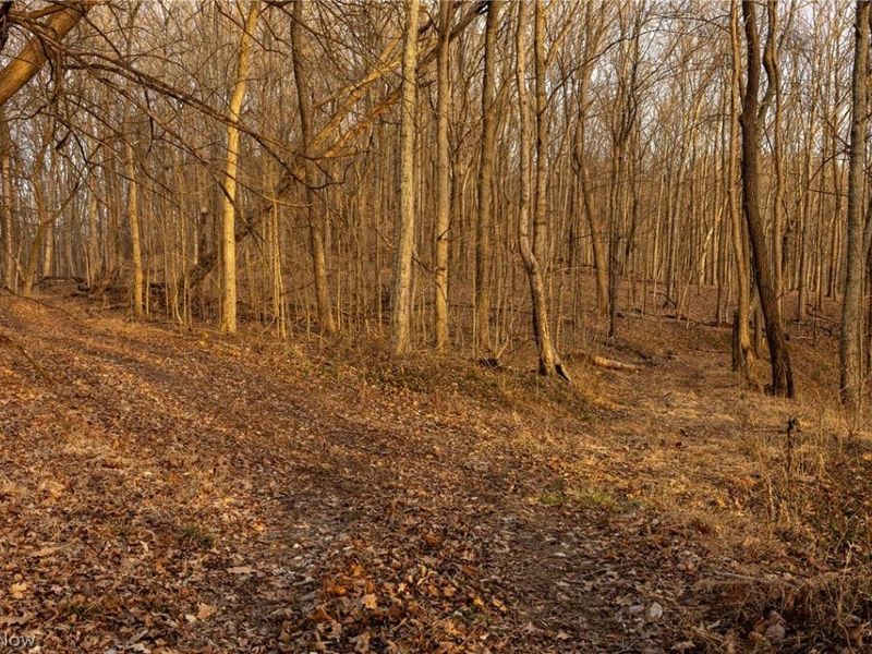 32290 Bailey Run Road, Pomeroy, OH 45769 Photo 14