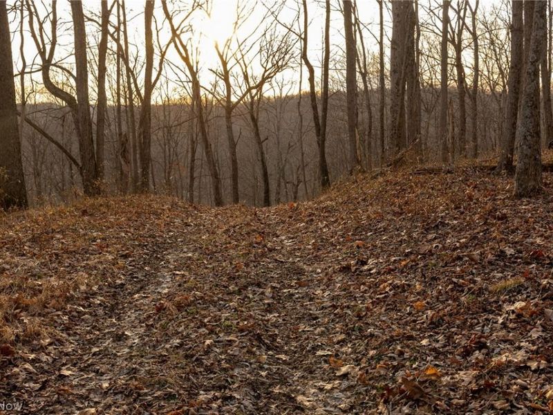 32290 Bailey Run Road, Pomeroy, OH 45769 Photo 15