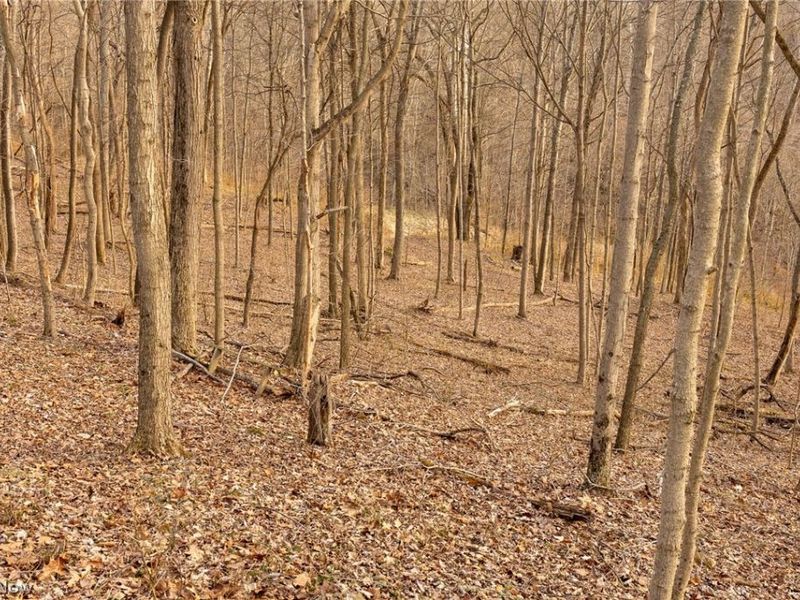 32290 Bailey Run Road, Pomeroy, OH 45769 Photo 16