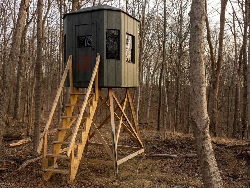 32290 Bailey Run Road, Pomeroy, OH 45769 Photo 19