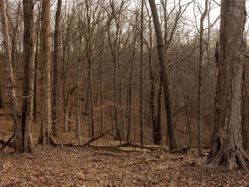 32290 Bailey Run Road, Pomeroy, OH 45769 Photo 21