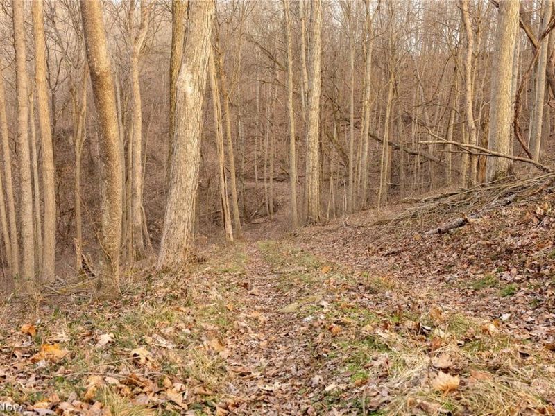 32290 Bailey Run Road, Pomeroy, OH 45769 Photo 22