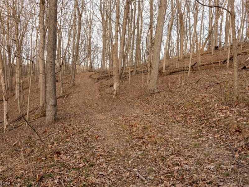 32290 Bailey Run Road, Pomeroy, OH 45769 Photo 23