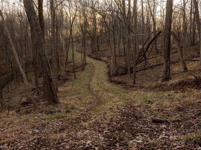 32290 Bailey Run Road, Pomeroy, OH 45769 Photo 24