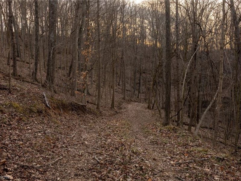 32290 Bailey Run Road, Pomeroy, OH 45769 Photo 26