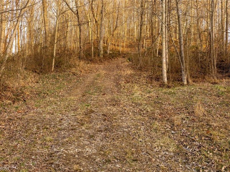 32290 Bailey Run Road, Pomeroy, OH 45769 Photo 4