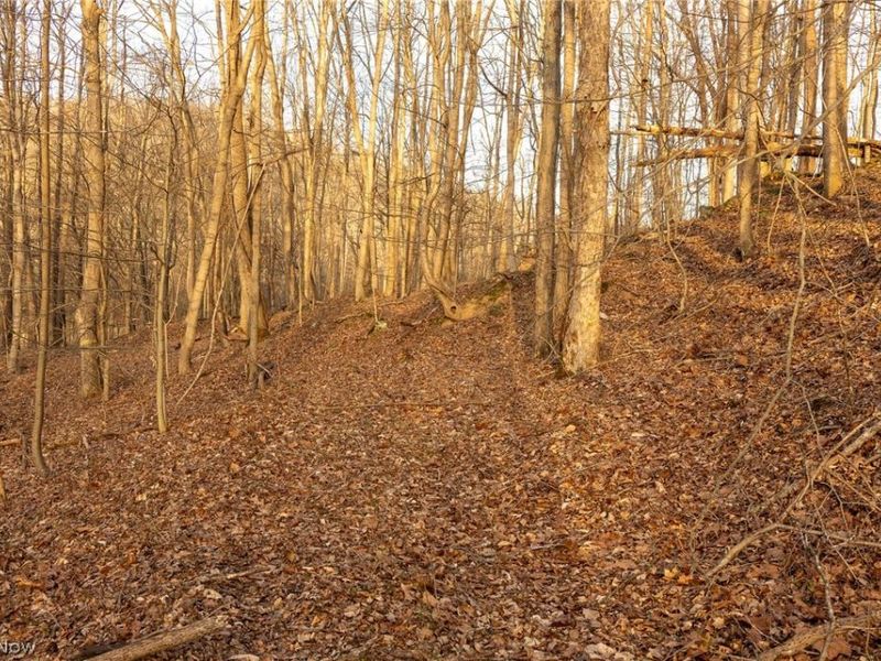 32290 Bailey Run Road, Pomeroy, OH 45769 Photo 5