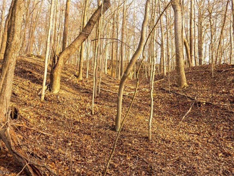 32290 Bailey Run Road, Pomeroy, OH 45769 Photo 6