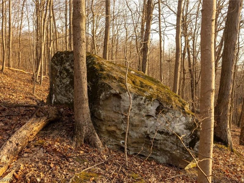 32290 Bailey Run Road, Pomeroy, OH 45769 Photo 8