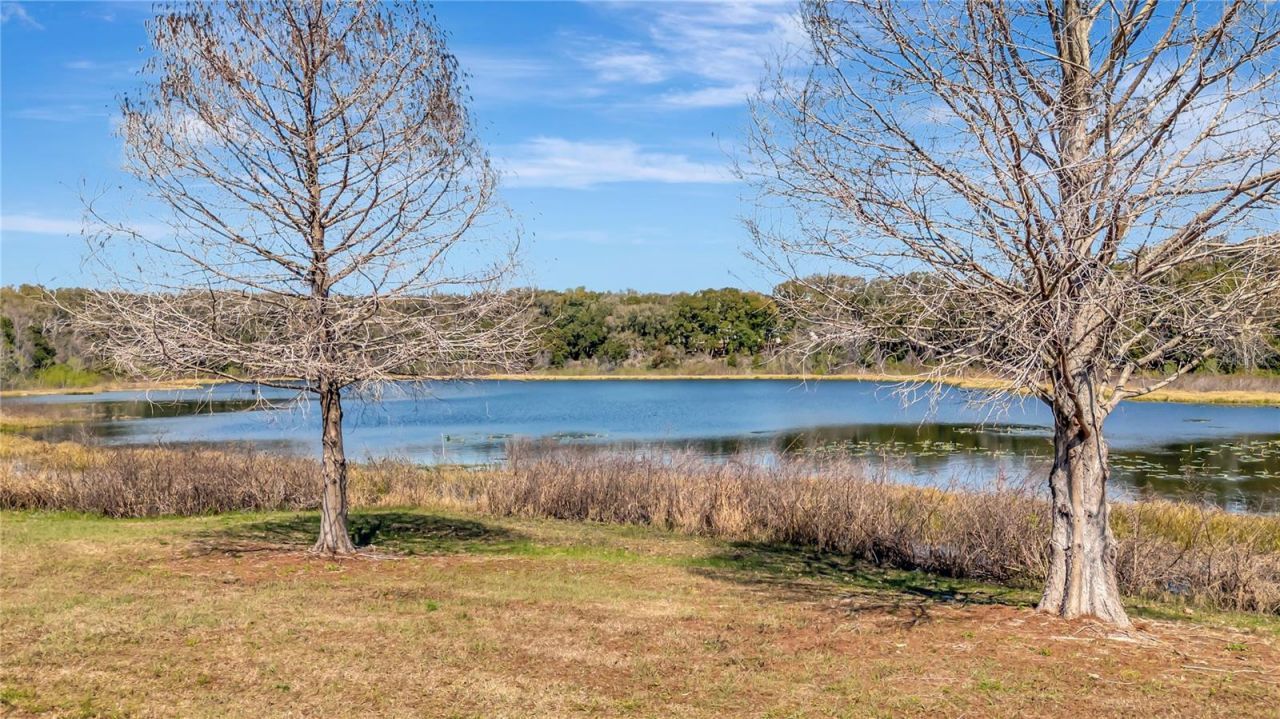 3935 Parway Road , Unit 1322, Zellwood, FL 32798 Photo