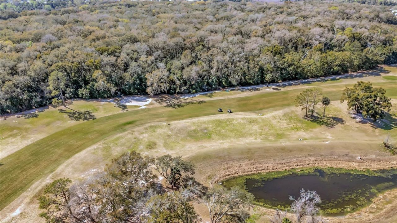 3935 Parway Road , Unit 1322, Zellwood, FL 32798 Photo