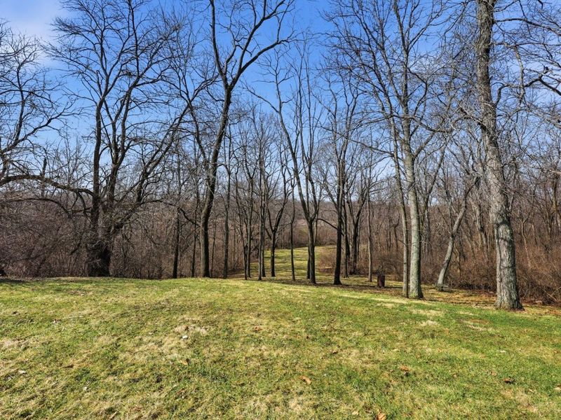 11021 Darby Creek Road, Orient, OH 43146 Photo 36