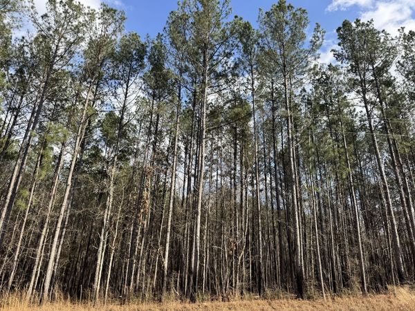24.88AC Epley, Sumrall, MS 39482