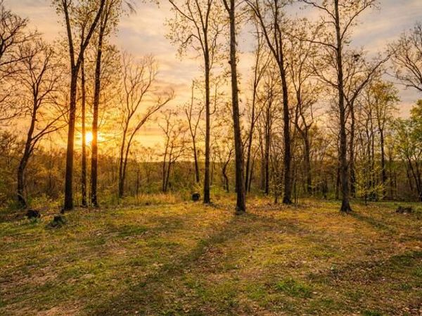 21722 Sibley Road , Sulphur Springs, AR 72768