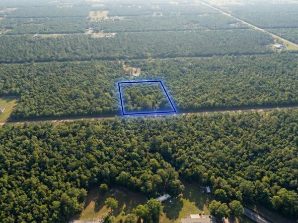 10655 Turpin Avenue, Hastings, FL 32145