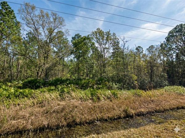 10720 YEAGER AVENUE , HASTINGS, FL 32145