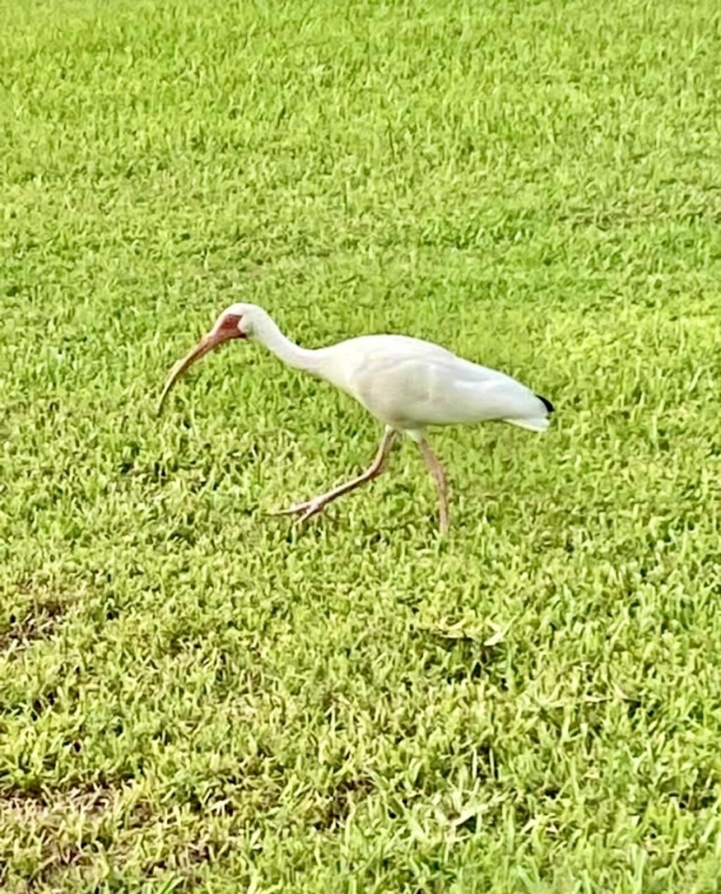 125 S Ocean Avenue, Unit 104, Palm Beach Shores, FL 33404 Photo