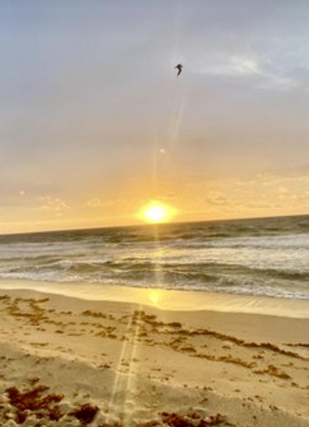 125 S Ocean Avenue, Unit 104, Palm Beach Shores, FL 33404 Photo