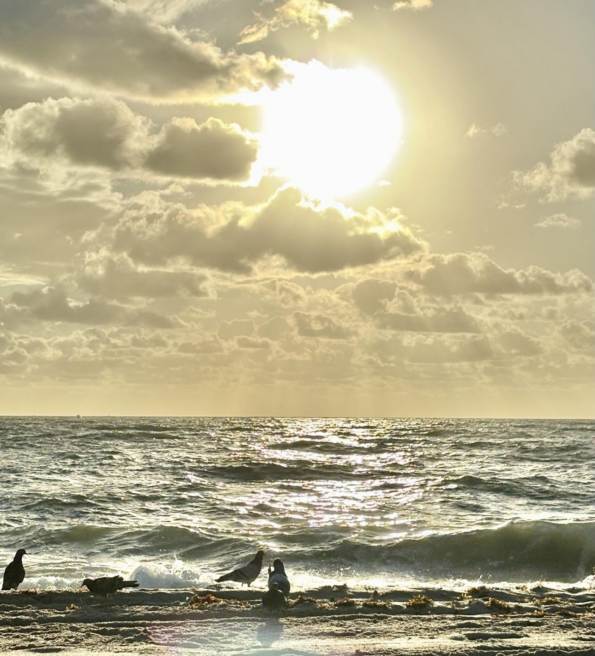 125 S Ocean Avenue, Unit 104, Palm Beach Shores, FL 33404 Photo