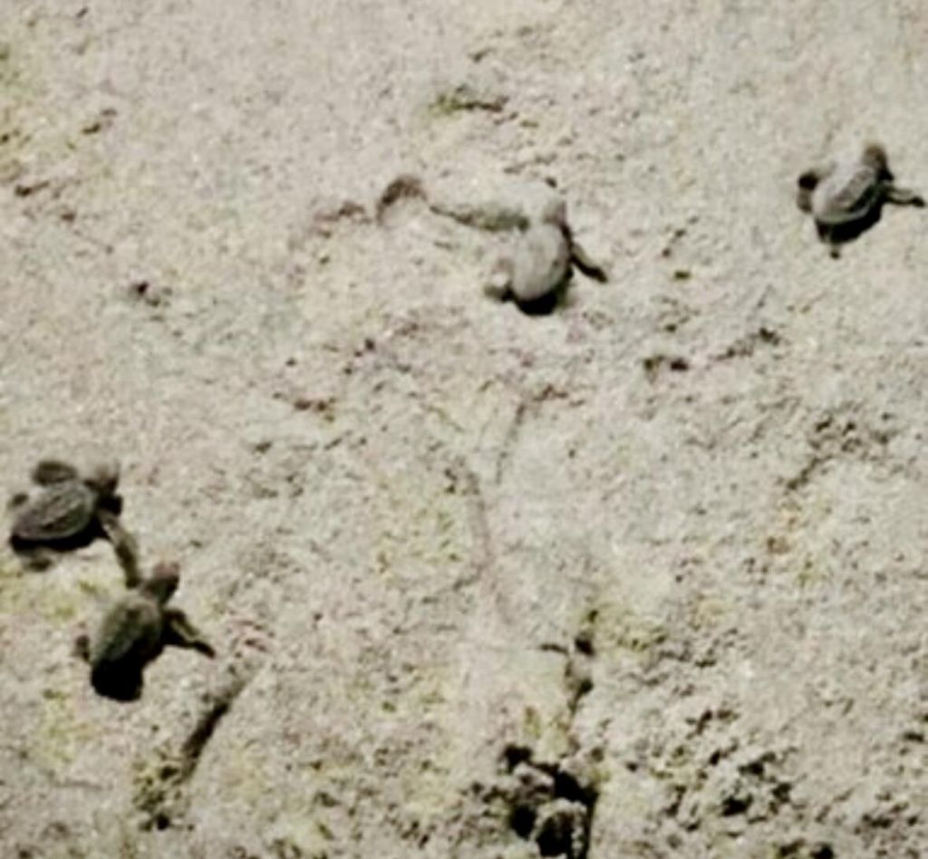 125 S Ocean Avenue, Unit 104, Palm Beach Shores, FL 33404 Photo