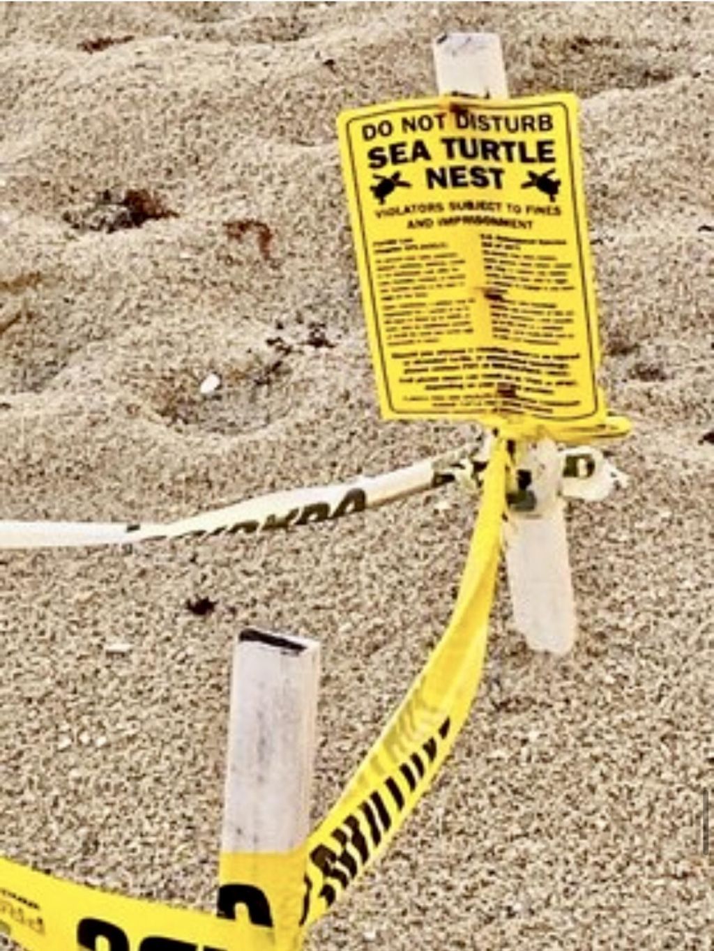 125 S Ocean Avenue, Unit 104, Palm Beach Shores, FL 33404 Photo