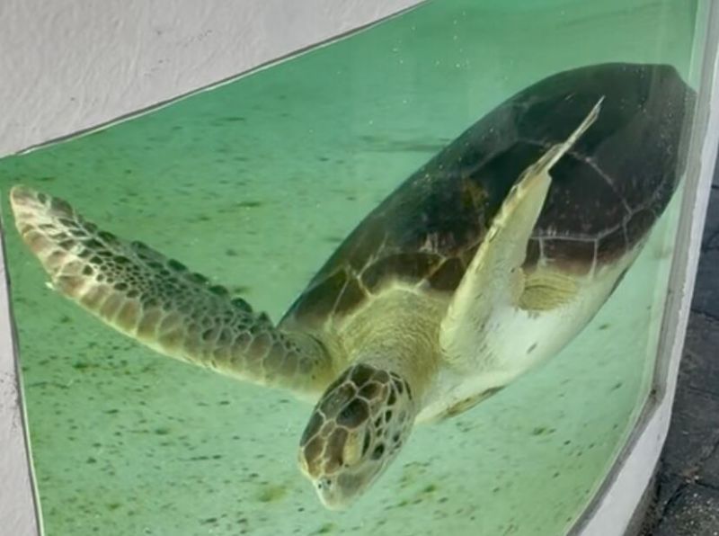 125 S Ocean Avenue, Unit 104, Palm Beach Shores, FL 33404 Photo