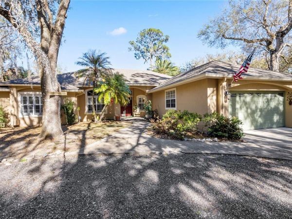 295 N JUNGLE ROAD, GENEVA, FL 32732