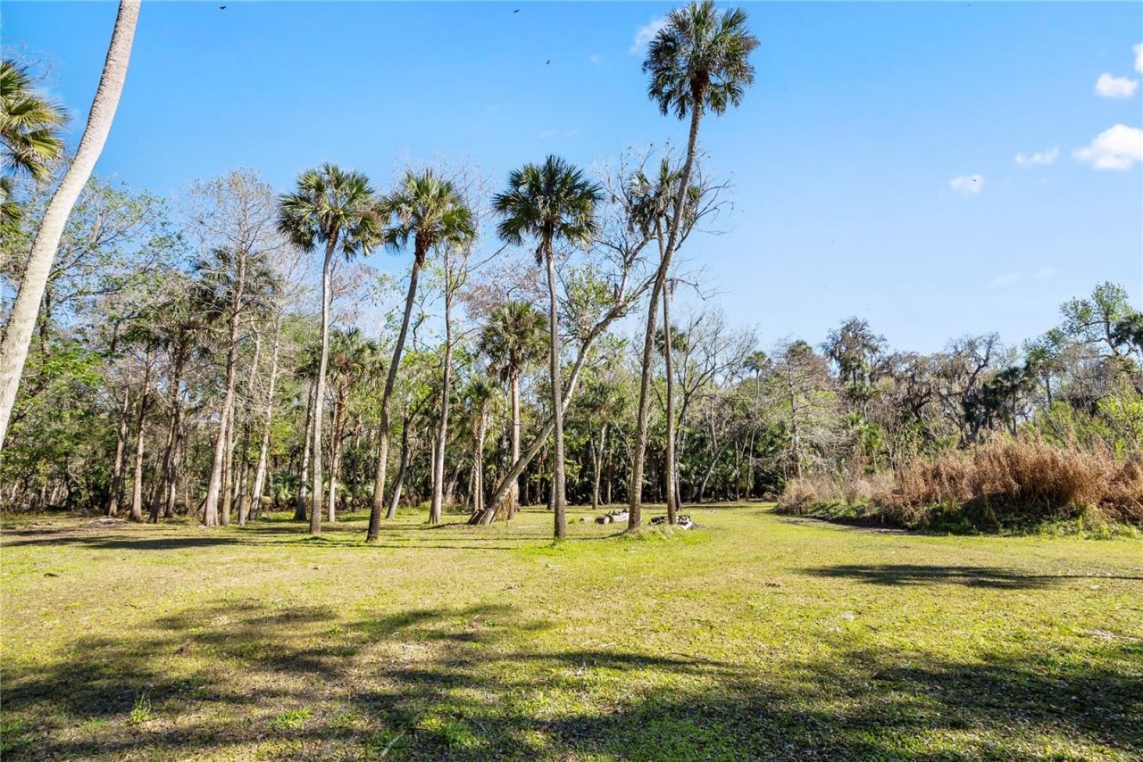 295 N Jungle Road, Geneva, FL 32732 Photo