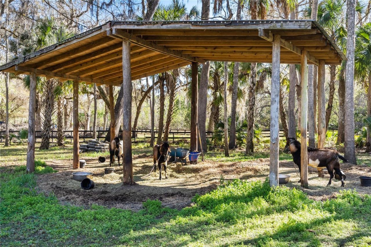 295 N Jungle Road, Geneva, FL 32732 Photo