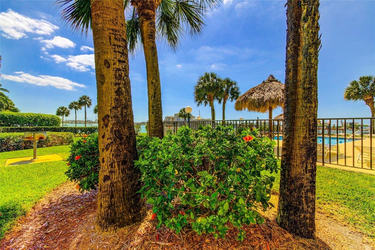 650 Island Way, Unit 206, Clearwater Beach, FL 33767 Photo