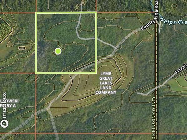 TBD County Line, Breen Twp, MI 49807