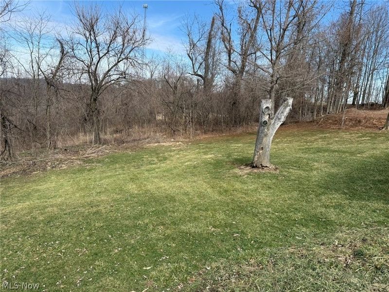 23033 Cadiz Road, Freeport, OH 43973 Photo 30