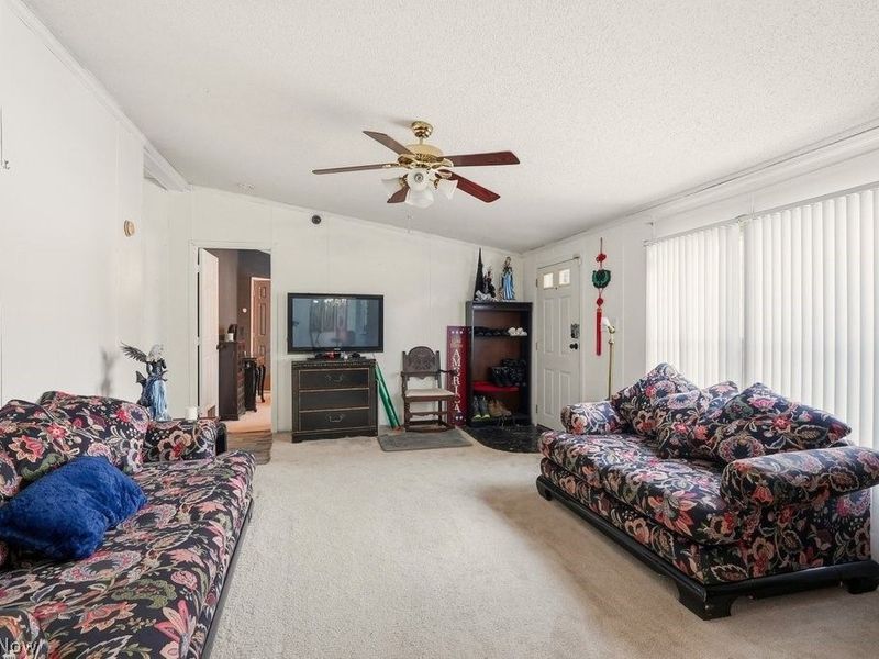 3228 Carper Avenue, Akron, OH 44312 Photo 4