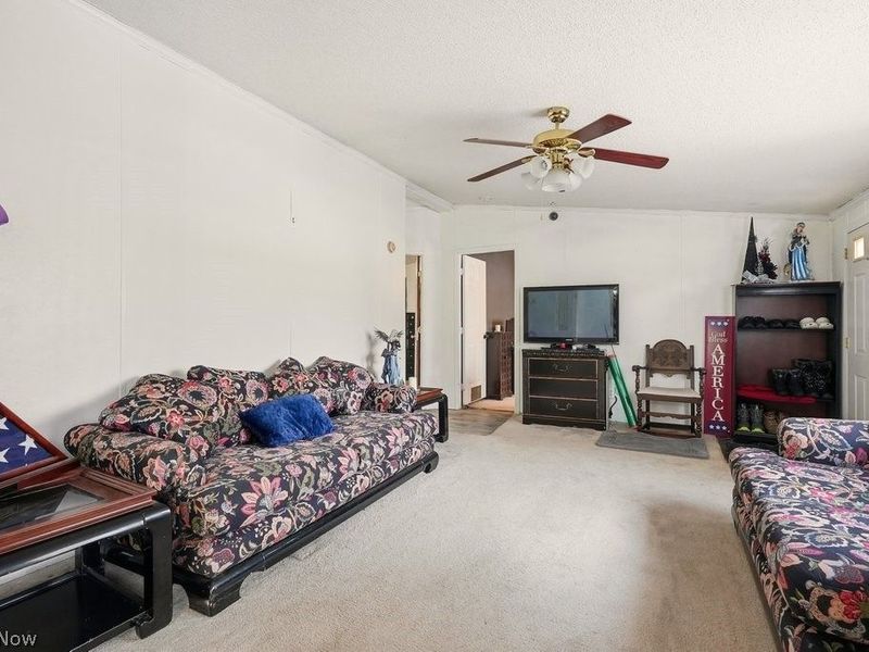 3228 Carper Avenue, Akron, OH 44312 Photo 5