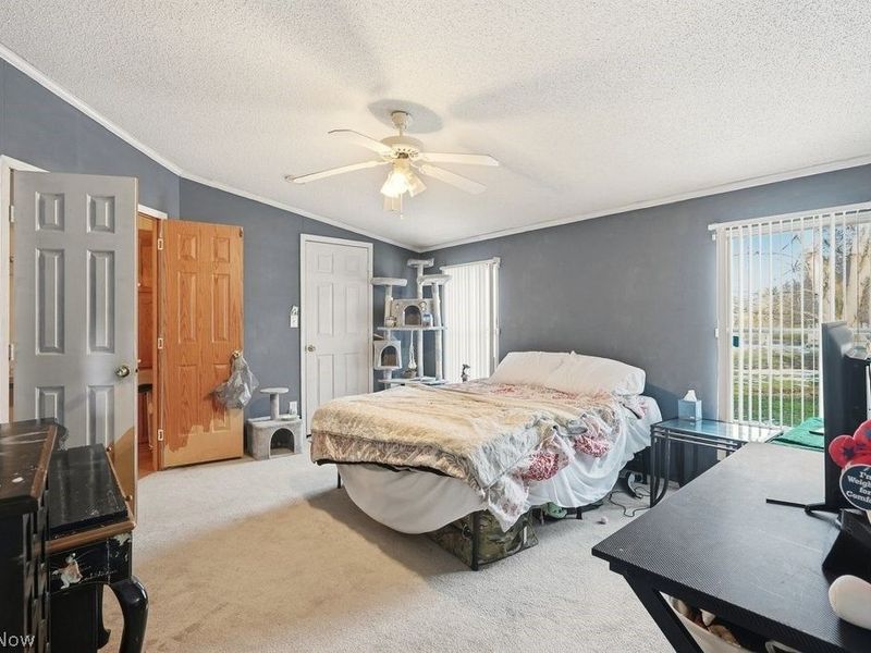 3228 Carper Avenue, Akron, OH 44312 Photo 6